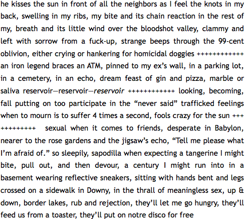he kisses the sun in front of all the neighbors as I feel the knots in my / back, swelling in my ribs, my bite and its chain reaction in the rest of / my, breath and its little wind over the bloodshot valley, clammy and / left with sorrow from a fuck-up, strange beeps through the 99-cent / oblivion, either crying or hankering for homicidal doggies ++++++++++++ / an iron legend braces an ATM, pinned to my ex’s wall, in a parking lot, / in a cemetery, in an echo, dream feast of gin and pizza, marble or / saliva reservoir—reservoir—reservoir ++++++++++++ looking, becoming, / fall putting on too participate in the “never said” trafficked feelings / when to mourn is to suffer 4 times a second, fools crazy for the sun +++ / +++++++++  sexual when it comes to friends, desperate in Babylon, / nearer to the rose gardens and the jigsaw’s echo, “Tell me please what / I’m afraid of.” so sleepily, sapodilla when expecting a tangerine I might / bite, pull out, and then devour, a century I might run into in a / basement wearing reflective sneakers, sitting with hands bent and legs / crossed on a sidewalk in Downy, in the thrall of meaningless sex, up & / down, border lakes, rub and rejection, they’ll let me go hungry, they’ll / feed us from a toaster, they’ll put on notre disco for free 