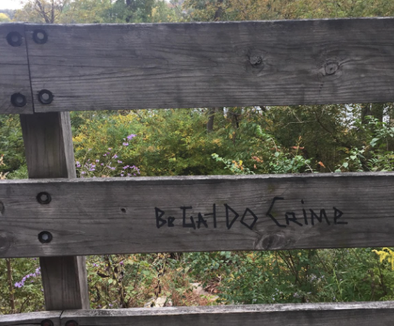 a fence with words carved into reading 'be gay do crime'