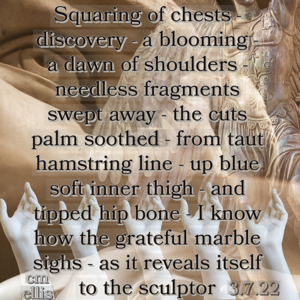 Squaring of chests- 
discovery - a blooming - 
a dawn of shoulders - 
needless fragments 
swept away - the cuts 
palm soothed - from taut 
hamstring line - up blue 
soft inner thigh - and 
tipped hip bone - I know 
how the grateful marble 
sighs - as it reveals itself 
to the sculptor